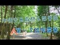 【嘉義景點】第一次搭帳露營去-中埔空島露營區｜落雨松森林浴｜乾溼分離衛浴｜好夥伴咖啡｜熊熊奶泡歐蕾｜
