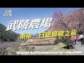 搭車來去武陵農場賞櫻囉！台八線的美景再次讓大家欣賞美景｜《搭公車旅行趣》 865區間車+武陵農場接駁車｜交通大小事