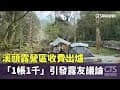 溪頭露營區收費出爐　「1帳1千」引發露友議論｜華視新聞 20240311