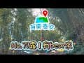 No.79露｜泰安｜有bear來露營區