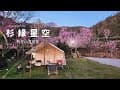 ⛺嘉義阿里山台18線最美露營區 | 沒預期的賞櫻露營 | 平日一帳800元的營地｜杉緣星空好美 | Coody 8|감성캠핑|벚꽃 캠핑 |쿠디|Camping Vlog|90露