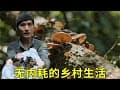 山林深处，我的‘无内耗’生活实验：三年独居，平凡日子酿出真快乐！【乡野志刚】