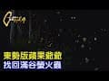不畏流言！東勢版蘋果爺爺砍五百棵梨樹 自創草木共生.生態魂找回滿谷螢火蟲∣一步一腳印【農場老爸永續的豪賭】20250504