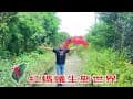 紅螞蟻生態世界 蝴蝶季