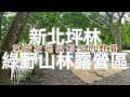 新北坪林丨綠野山林露營區丨享受在光與影下的野餐丨Jeick Abrego - Sweet Heart