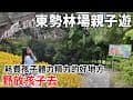 野放孩子去-東勢林場親子遊 台灣中部最美的森林花園，氣候宜人渡假納涼的好去處 #東勢林場 #東勢林場遊樂區 #螢火蟲 #森林遊樂園 #金針花 #體能訓練場 #東勢景點 #中部親子景點 #台中景點