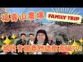 福壽山農場的櫻花怎麼可以那麼美｜國民賓館景觀房開箱｜有夠幸運竟然可以看到這個畫面！｜家庭旅遊好去處