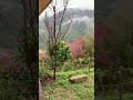 Camping in Taiwan｜Hsinchu｜Glamping｜新竹｜尖石夢田｜狩獵帳｜懶人露營