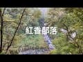 紅香露營區 紅香溫泉 森林系營區 帖比倫峽谷瀑布