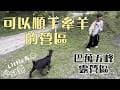 Little 馬｜58露 ｜巴萬五峰｜順手牽羊-化身為牡羊人｜小木屋｜超多露營小遊戲