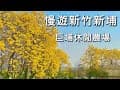 慢遊新埔巨埔休閒農場｜北部黃花風鈴木景色，園區景點介紹｜台灣新竹觀光旅遊景點推薦