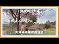 [小咪樂園]新竹天湖秘境櫻花露營區