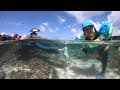 墾丁海山露營區/砂島浮潛/墾丁大街人潮湧現/INSTA360 one X神奇空拍效果/Gopro+Shoot分水鏡讓你看穿鴨子划水