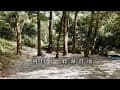 【露營 VLOG】聽瀑營地露營｜ 南投埔里｜森林系露營 ｜camping vlog | 露營吊床不專業開箱