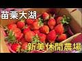 縵縵吃-新美休閒農場(苗栗大湖)