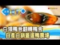 神農鴨爸的“青草皮蛋”｜台南鴨莊休閒農場｜【台灣真善美】2024.02.25
