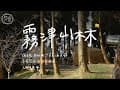 新竹尖石 ‧ 霧津山林露營區｜糖燒葡萄柚｜良宵美景｜キャンプ｜캠핑｜camping
