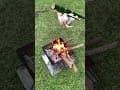 苗栗三義｜諾維琪露營基地 - 烤全雞又來啦！#露營 #camping #fire