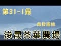 #露營 vlog No.31-1南投國姓 浚晟茶葉農場