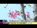 1070424生態休閒農場 打造親子快樂園地