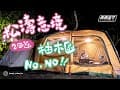 森林系營地-松濤意境，柚木區 體驗｜倆倆露營