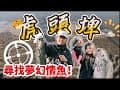 近期臺南路亞熱門釣點！充斥夢幻飛刀的地方 親臨現場實測是不是真的很咬！台南釣點 台南釣魚 路亞釣點 台南路亞釣點 台南虎頭埤釣魚 釣魚