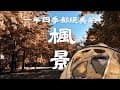 Camping life#39｜一年四季都絕美的『楓』景｜熄燈前一定要去一次的美樹營地｜看場電影吧｜想要傳達的訊息｜賈大廚出西餐｜美樹營地｜ASMR
