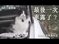 與那堤最後一次車宿露營？入夜大雨，營區只剩我和那堤｜尤巴士露營區｜Solo Camping with My Cat in Heavy Rain｜ASMR｜和那堤的車露生活 EP20