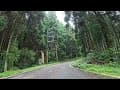 20250712 蟬說霧繞 Chanshuo Woorao glamping 旁的無名路往巴棍杉林露營區