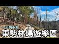 東勢林場遊樂區，又名東勢林場，有中部陽明山的美稱，一年四季各有不同的花卉主題，有：春櫻、夏桐、秋楓、冬梅，構成五彩繽紛的森林景致，還有露營區、體能訓練場、森林浴步道、住宿等，超大片的楓葉林區真的是美！