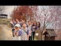 20260206-7 宜蘭小旅行｜香格里拉休閒農場住一晚｜巨型鞦韆、古早童玩玩到不想走