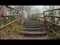 20250405嘉義馬鞍山往振峯茶園碧湖山營區