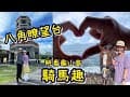 位於頭城海濱森林公園裡的一座建築《八角瞭望台》可眺望龜山島美麗景色感受很不同的視野，還有騎馬體驗非常推薦的一日行程之一2023年8月26日