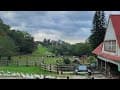 【VLOG】空拍苗栗通霄飛牛牧場景色｜Views around Flying Cow in Miaoli｜貝殼仔的日常 The Shells&#39; Daily
