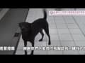 糖果屋的冒煙喬