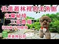 【寵物友善民宿-宜蘭冬山】住在叢林中的美術館 沒有蚊子的農場 餵魚 下午茶 DIY體驗 適合親子寵物 三富休閒農場 ★紫森林民宿★VLOG EP.179