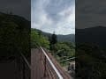台灣農林熊空茶園-新北三峽觀光茶園 -6