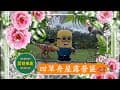 【露營樂趣】四草舟屋露營區 ～ 2