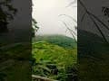 假樹屋-谷嘎的家露營區