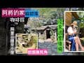 ~ 阿里山系列 ~「超高清」《阿將的家。貓部落。咖啡館》  &amp;  [ 阿里山國民中小學 ] 一定至少要去一次的咖啡館