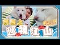 #寵物露營區 | 南投 | #北山路營區 |  第22露 | #dog 開箱Naturehike屋脊13 | 好大好多窗戶可以欣賞風景【不想呆在家】