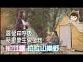 NO.11露/拉拉山樂野露營區/巨木林步道好舒服/果園單軌車超好玩/營區做蛋糕慶生趣