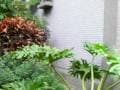 庄腳所在-宜蘭民宿之美