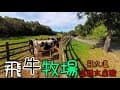 飛牛牧場佔地100多公頃，園區內有乳牛生態區、山羊生態區、蝴蝶生態區、水域生態區等，可餵牛、餵羊還能體驗擠牛奶，寬廣的草原可供小朋友嬉戲奔跑，還有住宿區及烤肉區，還提供有露營區及教堂廣場供預約使用喔！