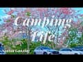 《Camping Life》南投國姓｜粉紅色花海~花旗木的季節｜水秀休閒農場露營區 (請開啟中文CC字幕)