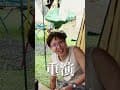 第28露｜苗栗泰安｜司馬限360度景觀露營區