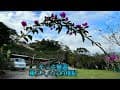 摩西露營區#車床天地特約棧點#芃芃溫泉#北橫宜蘭臺7線尾端