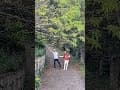 #東眼山農場 #合風樂團 2025.08.24