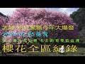 2026武陵農場「紅粉佳人」櫻花季大爆發 ! ｜全區空拍現況全紀錄！｜28分鐘粉紅隧道影片｜並標註拍攝位置全區完整收錄 (2026.02.25)｜