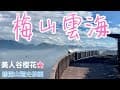 山澤露營誌～與梅山的雲海有約，200元的親民露營區#碧湖山觀光茶園#梅山#露營#美人谷#嘉義旅遊#振峯露營區